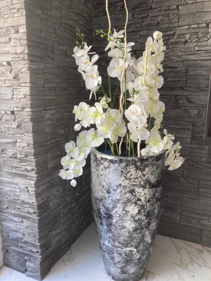 Swiss Luxury Apartment Mosonmagyaróvár المظهر الخارجي الصورة